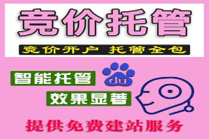 百度竞价代运营公司案例：如何制定有效的广告计划